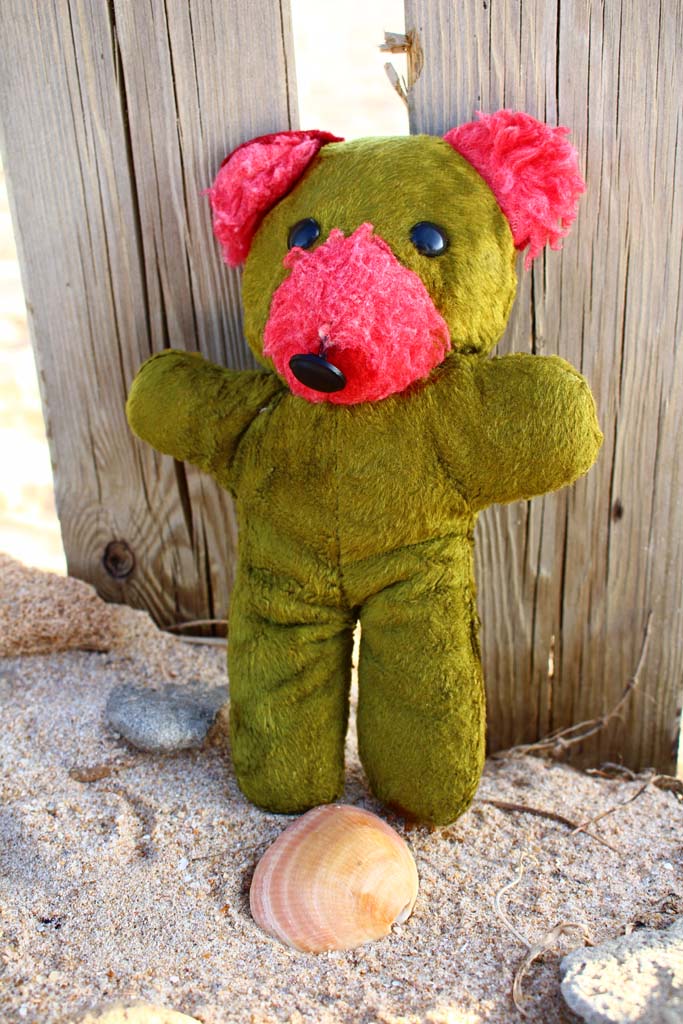  Beach in San Fernando